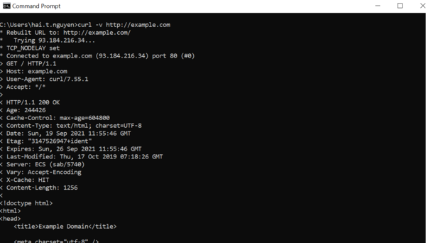 curl-la-gi-4 Hướng dẫn cài đặt cURL trên Windows, macOS và Linux