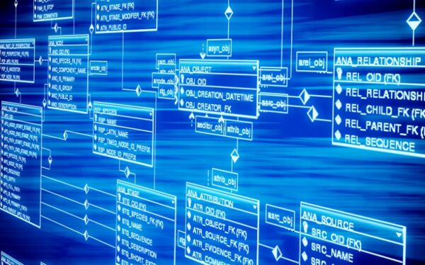 database-la-gi-6 Ví dụ về Database trong thực tế