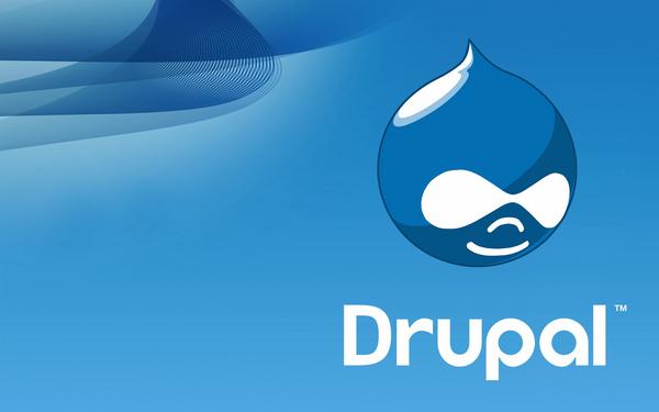 drupal-la-gi-2-1 Lịch sử hình thành và phát triển của Drupal