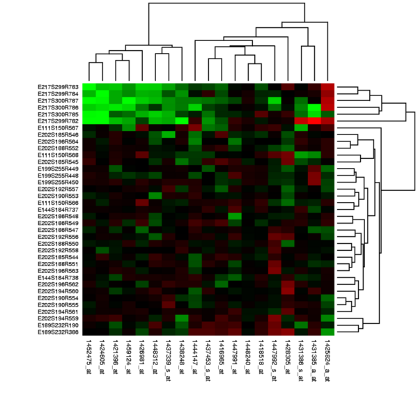 heatmap-la-gi-3 Các loại Heatmap phổ biến nhất hiện nay