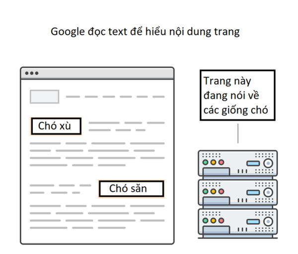 the-alt-la-gi-1-1 Thẻ Alt là gì? (Alt Text, Alt Tag, Alt Attribute)