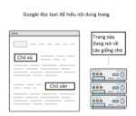 Thẻ Alt là gì? (Alt Text, Alt Tag, Alt Attribute)