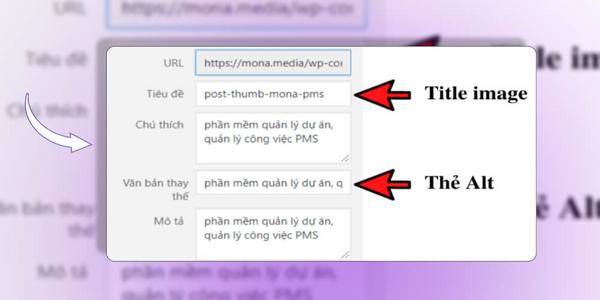 the-alt-la-gi-4 Hướng dẫn 5 bước viết Thẻ Alt chuẩn SEO chi tiết
