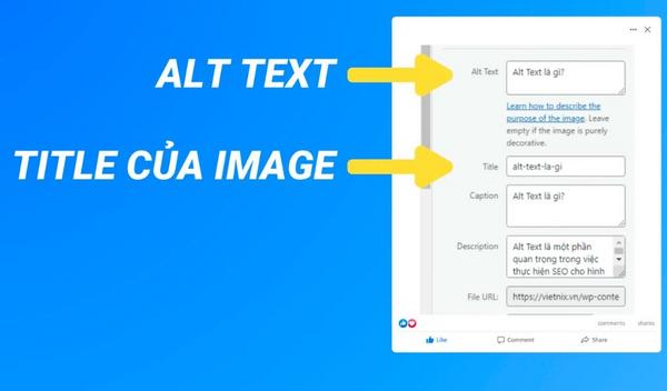 the-alt-la-gi-8 Phân biệt giữa Thẻ Alt và Thẻ Title của hình ảnh
