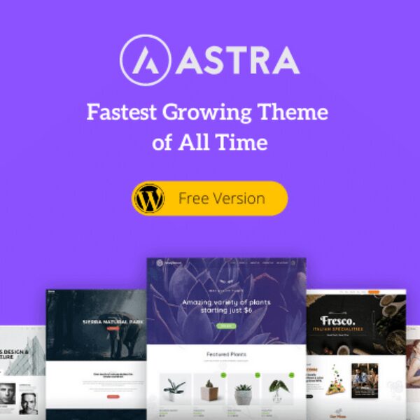 theme-astra-la-gi-6 Cách tùy chỉnh Theme Astra cơ bản qua Customizer