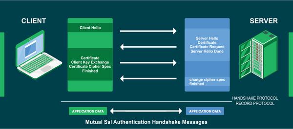 tls-la-gi-6 So sánh TLS và SSL: Những điểm khác biệt cơ bản và tại sao TLS ưu việt hơn