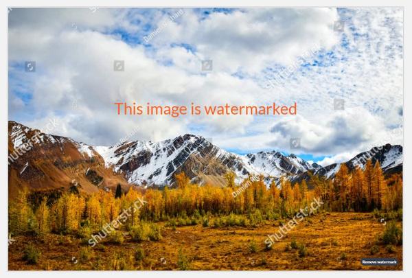 watermark-la-gi-7-1 Những lưu ý vàng khi thiết kế và sử dụng Watermark hiệu quả